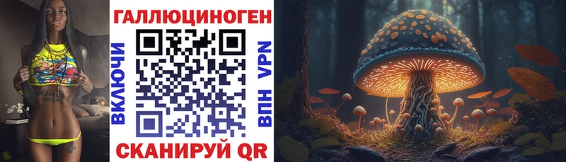 Псилоцибиновые грибы мицелий  Купить где  Бородино 